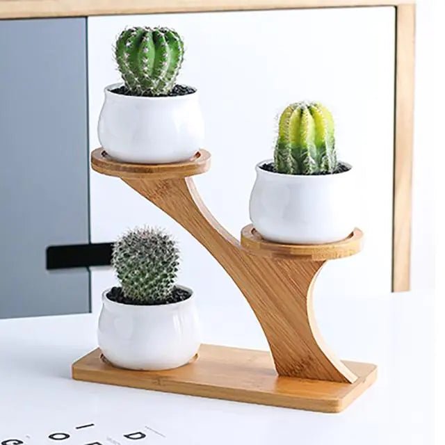 White Ceramic Succulent Pots with Bamboo Stand - 4 Styles Available - ShopElegancyPlant TrayWhiteWhite Ceramic Succulent Pots with Bamboo Stand - 4 Styles Available